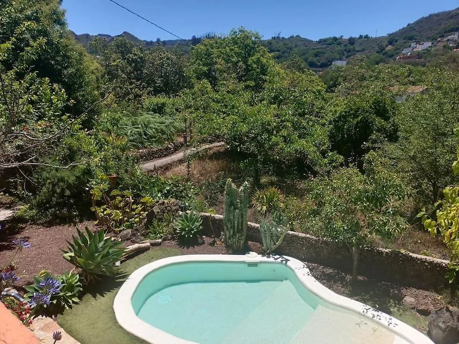Chalet Los Matos, Canarian House In Valleseco